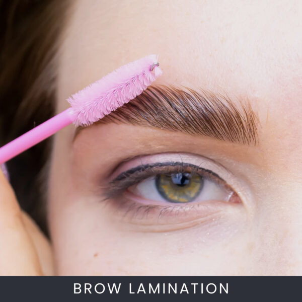 Online Brow Lamination Course Online Brow Lamination Course