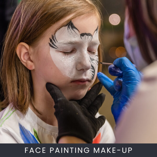 Online Face Painting Make-up Course