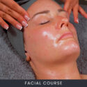 Online Facial Course