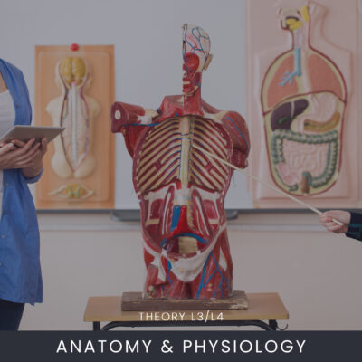 Online Anatomy and Physiology Theory L3/L4 Course