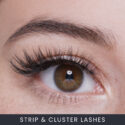Online Strip Lash and Cluster Lash Course