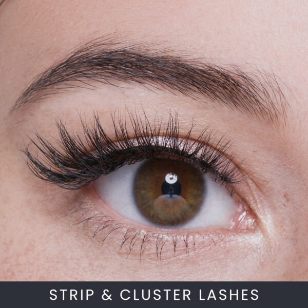 Online Strip Lash and Cluster Lash Course