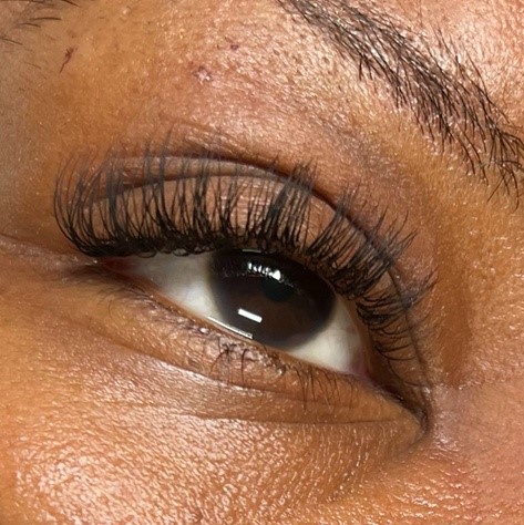 Strip Lash and Cluster Lash Course