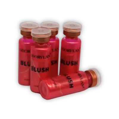 BB Blush Tint Course Kit BB Blush Tint Course Kit